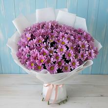 Букет цветов из:  Хризантемы в Покровке Воронежской области