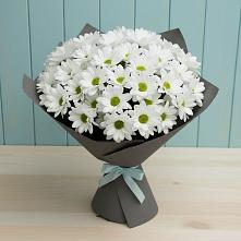 Букет цветов из:  Хризантемы в Покровке Воронежской области