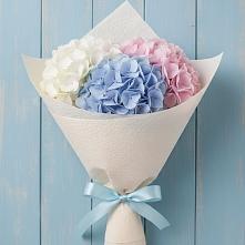 Букет цветов из:  Гортензия в Покровке Воронежской области