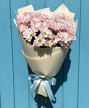 Букет цветов из:  Хризантемы в Покровке Воронежской области