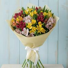 Букет цветов из:  Альстромерии в Покровке Воронежской области