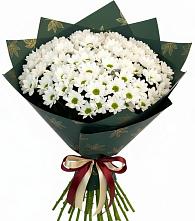 Букет цветов из:  Хризантемы в Покровке Воронежской области