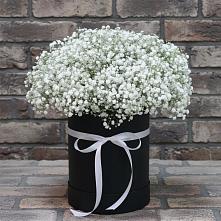 Цветочная композиция из Гипсофила в шляпной коробке в Покровке Воронежской области