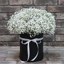 Цветочная композиция из Гипсофила в шляпной коробке в Покровке Воронежской области